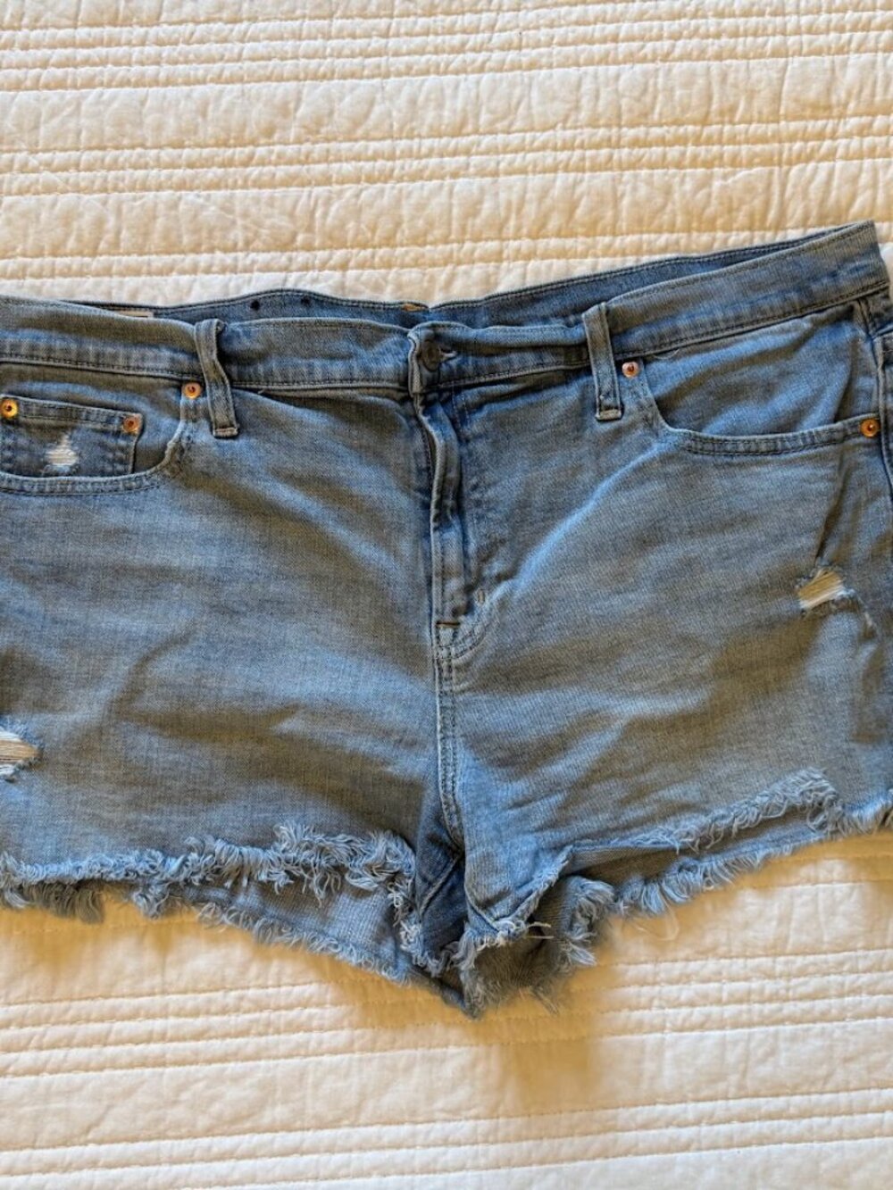 Womens Gap Mid Rise 3" Denim 5 Pocket Short 35 20R Classic